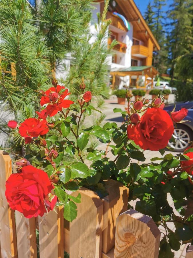 B&B Tamarindo 라 비야 외부 사진